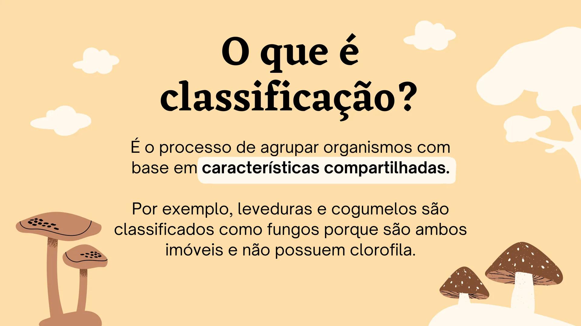 # Biologia
2º ano
I Trimestre
2025 # Classificação
de organismos
Como e por que agrupamos
os seres vivos? # TAXONOMIA
**Classificação**
