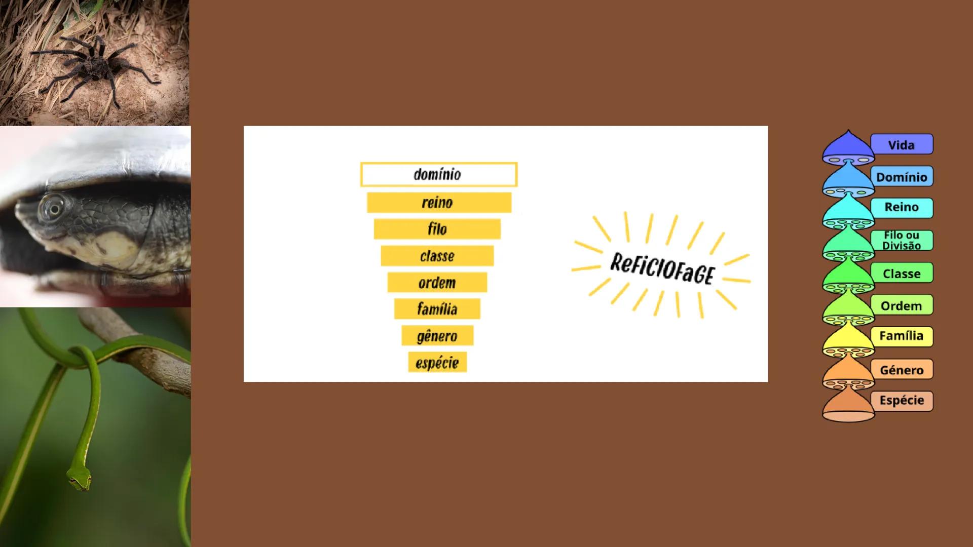 # Biologia
2º ano
I Trimestre
2025 # Classificação
de organismos
Como e por que agrupamos
os seres vivos? # TAXONOMIA
**Classificação**