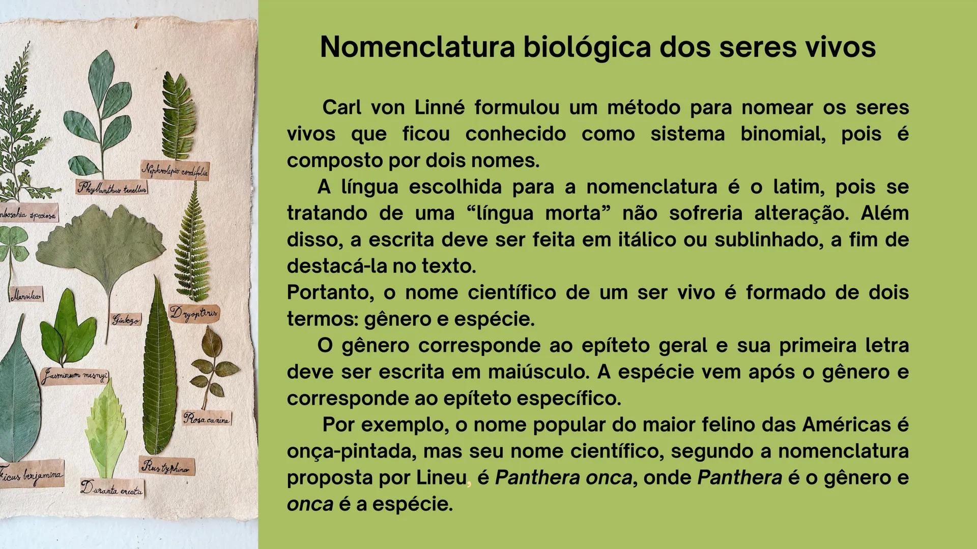 # Biologia
2º ano
I Trimestre
2025 # Classificação
de organismos
Como e por que agrupamos
os seres vivos? # TAXONOMIA
**Classificação**