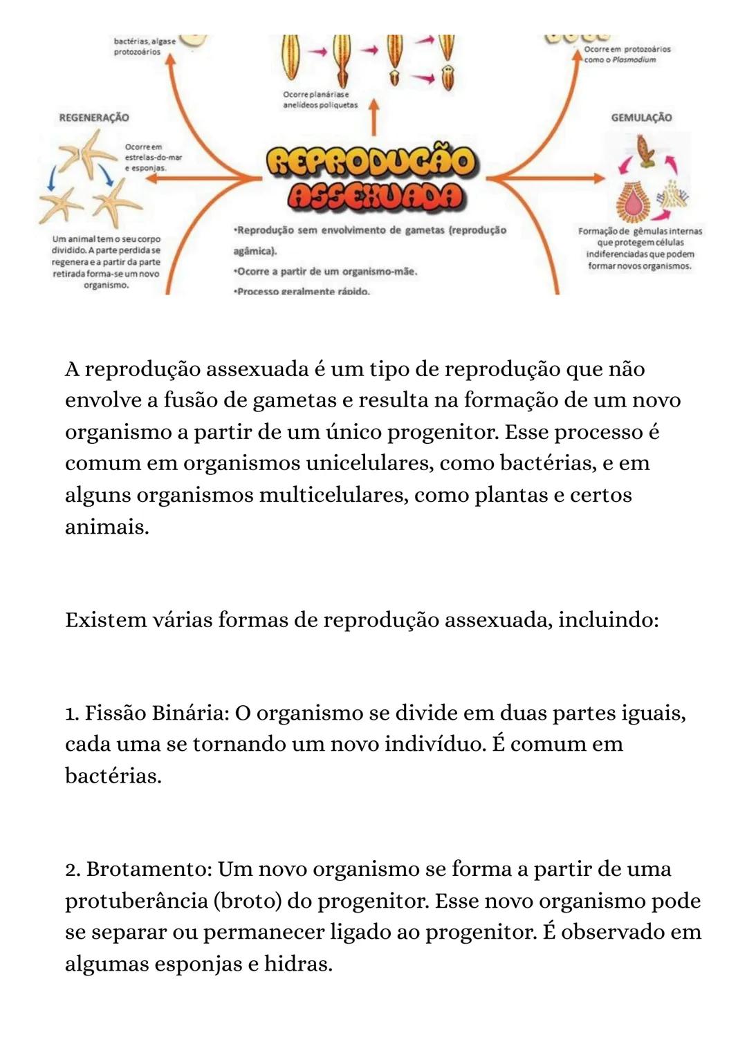 bactérias, algase
protozoários
REGENERAÇÃO
Ocorre em
estrelas-do-mar
esponjas.
Um animal tem o seu corpo
dividido. A parte perdida se
reg