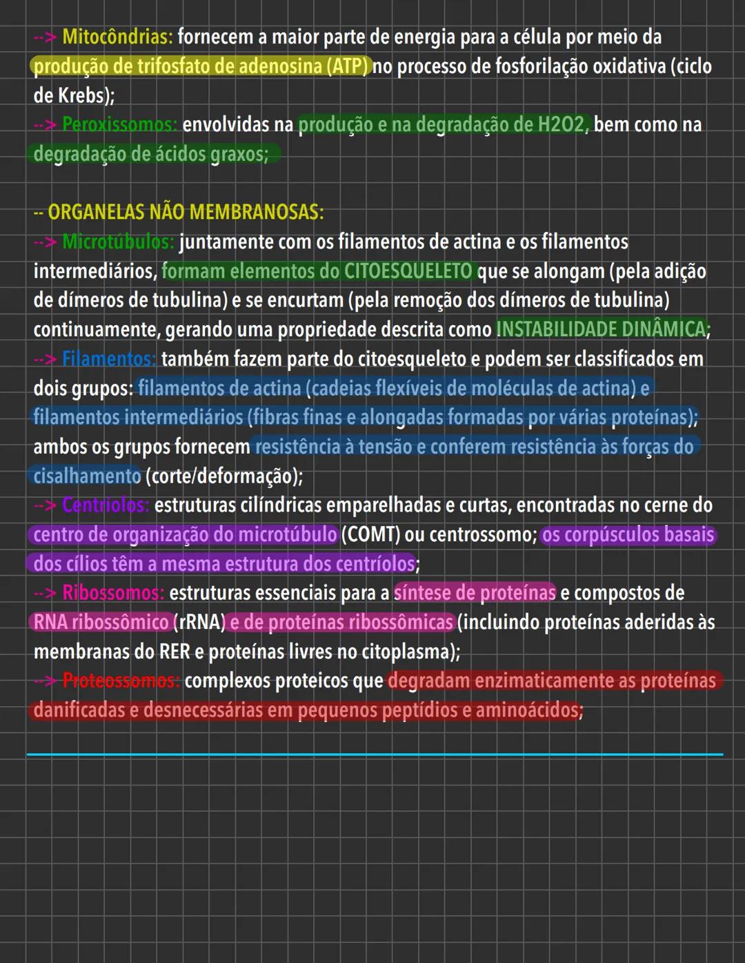 # Citologia - Introdução # INTRODUÇÃO À CITOLOGIA
Estudo da célula -> "universo";
1. Leeuwenhoek -> microorganismos
2. Robert Hooke (1665)