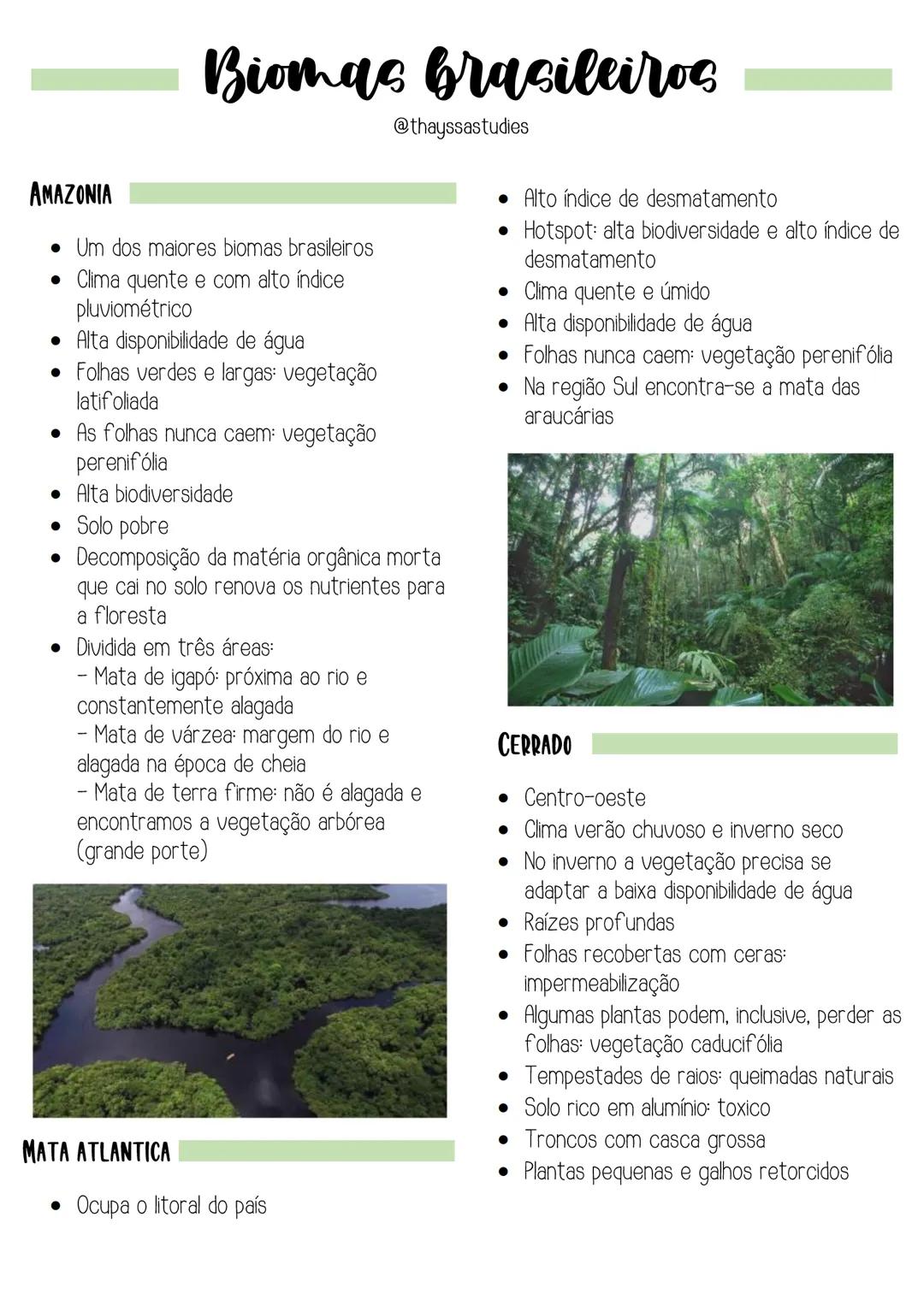 # Biomas brasileiros
@thayssastudies
AMAZONIA
* Um dos maiores biomas brasileiros
* Clima quente e com alto índice
pluviométrico
* A