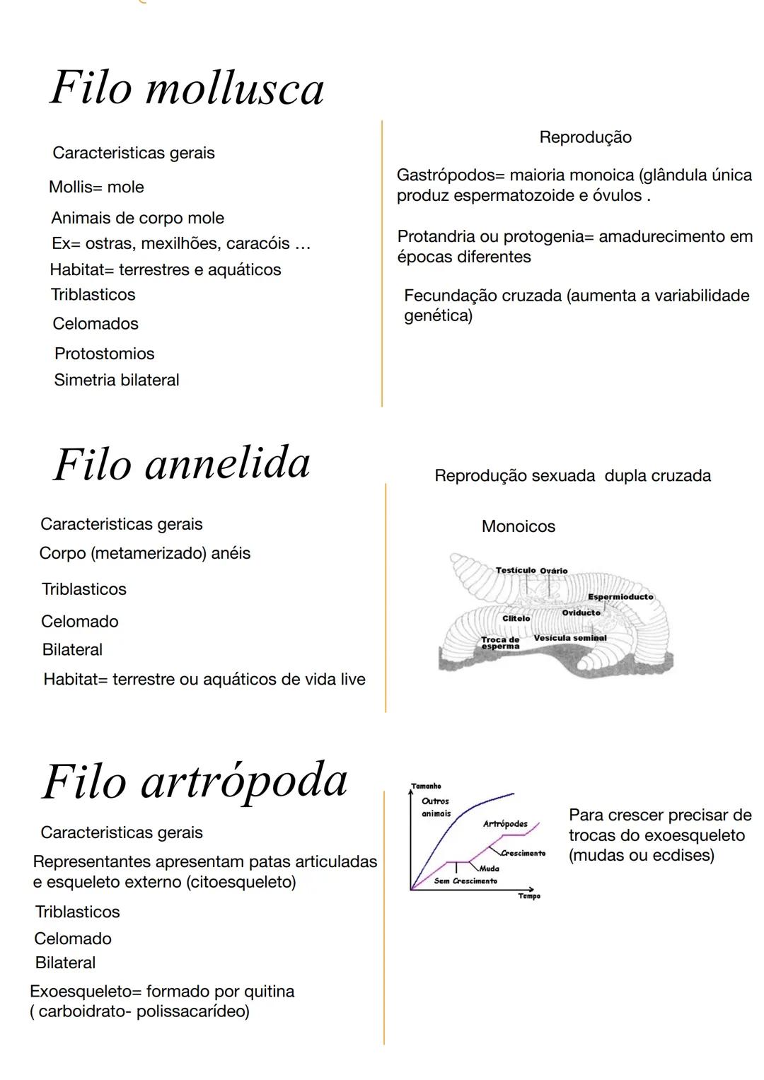 # Poríferos
Caracteristicas gerais
Animais filtradores
Sem tecidos verdadeiros (sem qualquer
órgão ou sistema)
Respiração, excreção e trans
