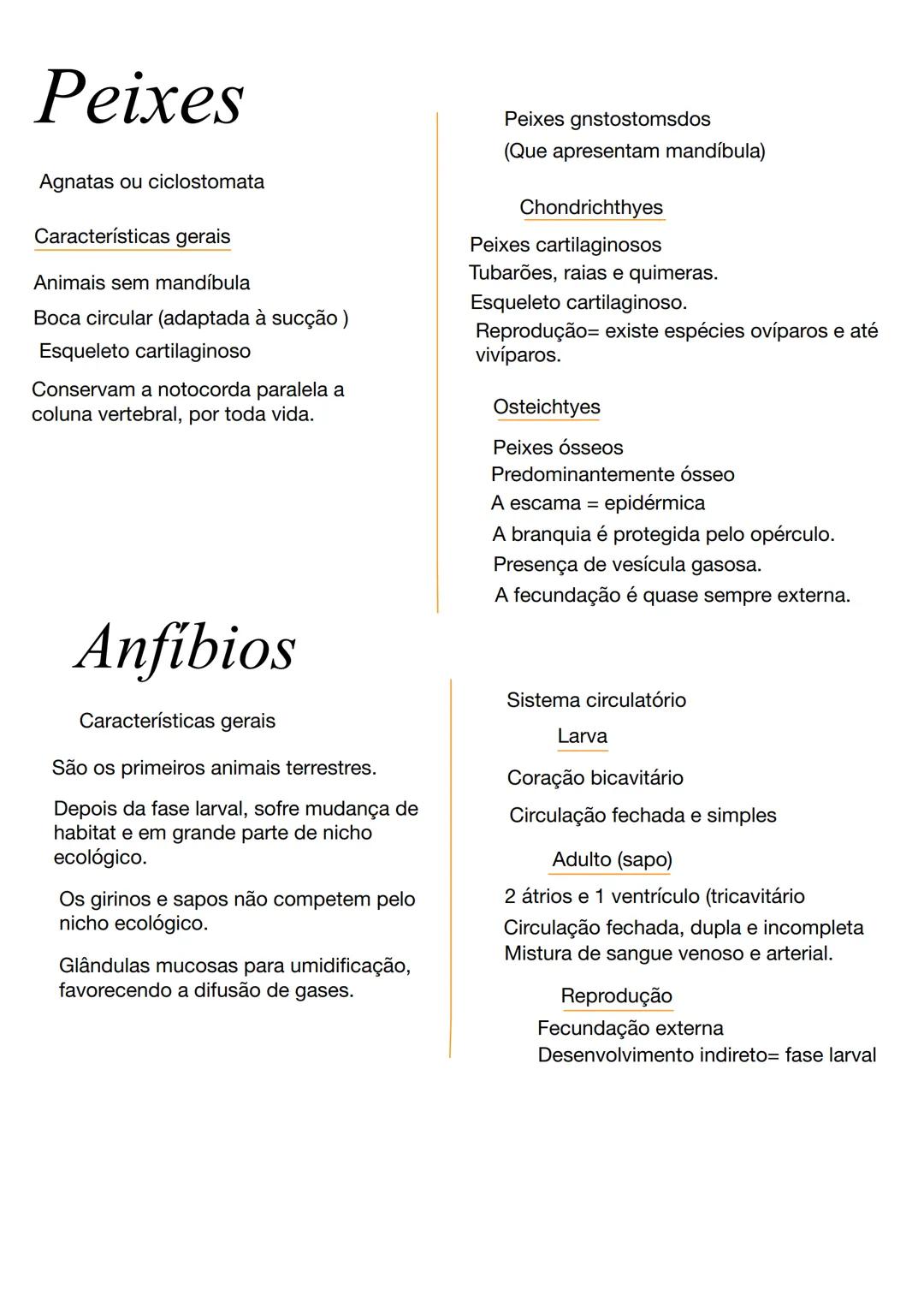 # Poríferos
Caracteristicas gerais
Animais filtradores
Sem tecidos verdadeiros (sem qualquer
órgão ou sistema)
Respiração, excreção e trans
