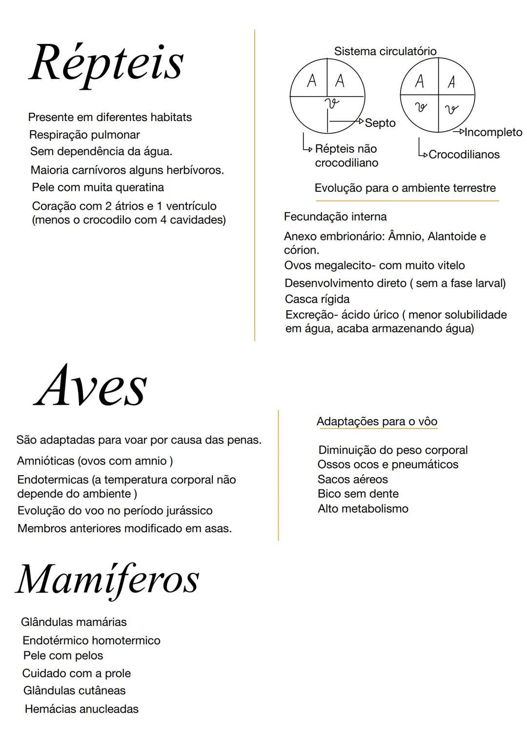 # Poríferos
Caracteristicas gerais
Animais filtradores
Sem tecidos verdadeiros (sem qualquer
órgão ou sistema)
Respiração, excreção e trans