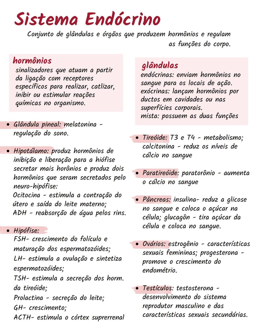 # Sistema Endocrino
Conjunto de glândulas e órgãos que produzem hormônios e regulam
as funções do corpo.
hormônios
sinalizadores que atuam