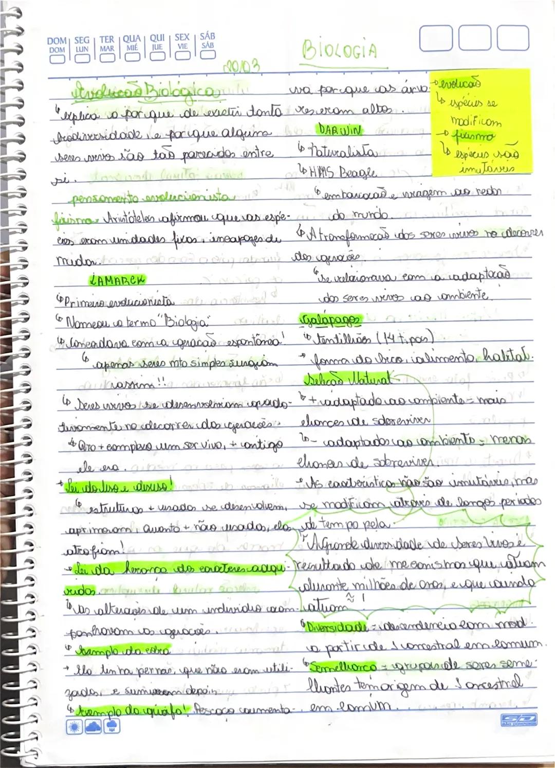 DOM SEG TER QUA QUI SEX SÁB
DOM LUN MAR MIE
VIE SAB
20/03
# volicon Biológica
BIOLOGIA
wa per que as árva evolicas
"explica o por que de