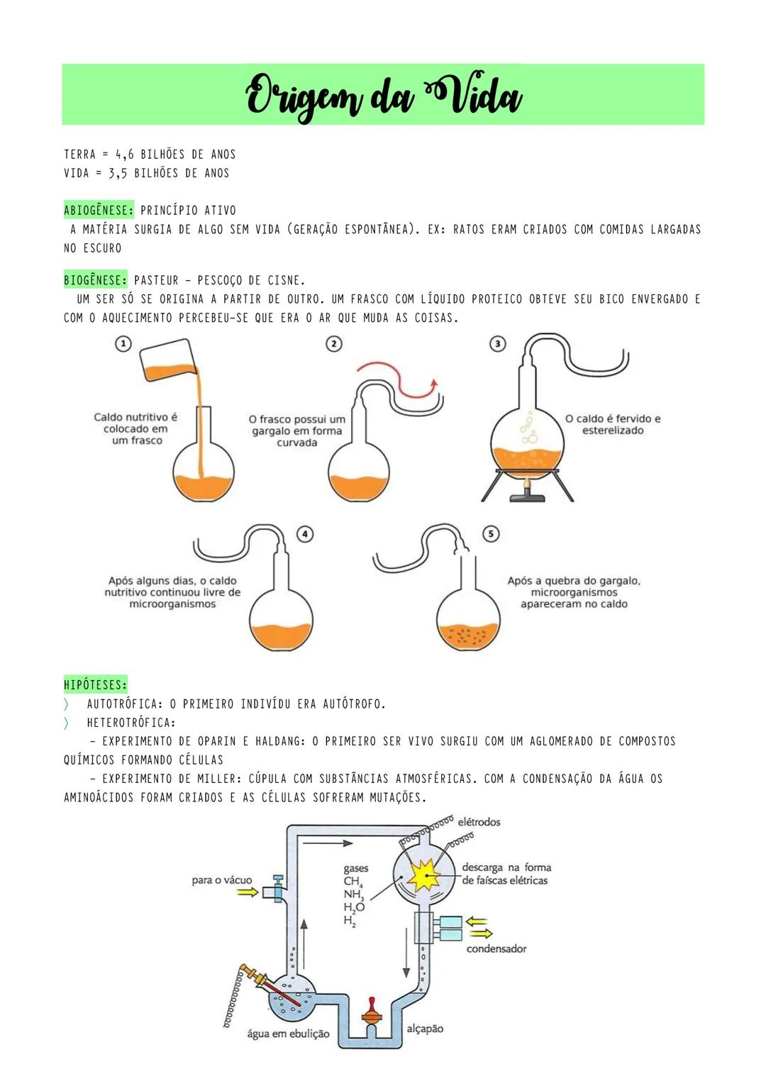 # Origem da Vida
TERRA 4,6 BILHÕES DE ANOS
VIDA 3,5 BILHÕES DE ANOS
ABIOGÊNESE: PRINCÍPIO ATIVO
A MATÉRIA SURGIA DE ALGO SEM VIDA (GERAÇÃO