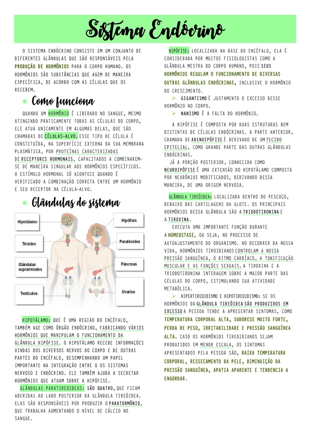 SISTEMA ENDÓCRINO