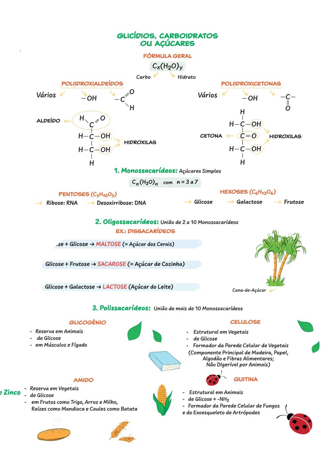 BIOQUÍMICA
CONSTITUINTES INORGÂNICOS DA CÉLULA
ÁGUA ($H_{2}O$)
Substância Mais
Abundante
= 85% da Célula
Formação de Ligações de Hidrogênio