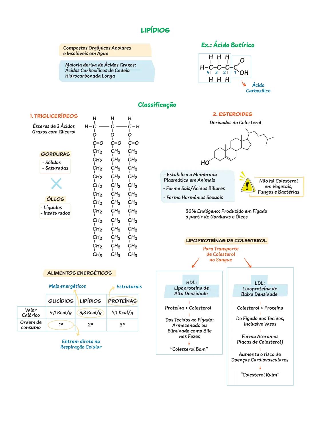 BIOQUÍMICA
CONSTITUINTES INORGÂNICOS DA CÉLULA
ÁGUA ($H_{2}O$)
Substância Mais
Abundante
= 85% da Célula
Formação de Ligações de Hidrogênio