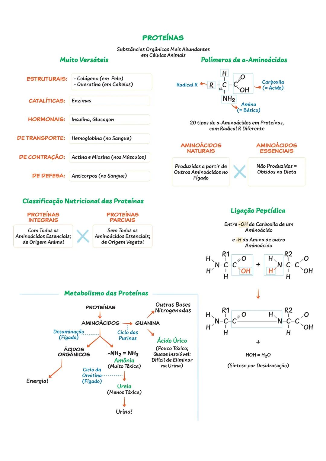 BIOQUÍMICA
CONSTITUINTES INORGÂNICOS DA CÉLULA
ÁGUA ($H_{2}O$)
Substância Mais
Abundante
= 85% da Célula
Formação de Ligações de Hidrogênio