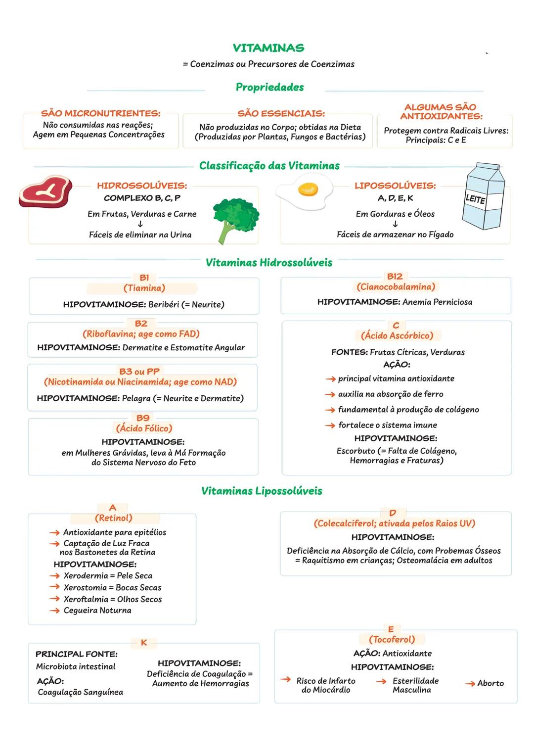 BIOQUÍMICA
CONSTITUINTES INORGÂNICOS DA CÉLULA
ÁGUA ($H_{2}O$)
Substância Mais
Abundante
= 85% da Célula
Formação de Ligações de Hidrogênio