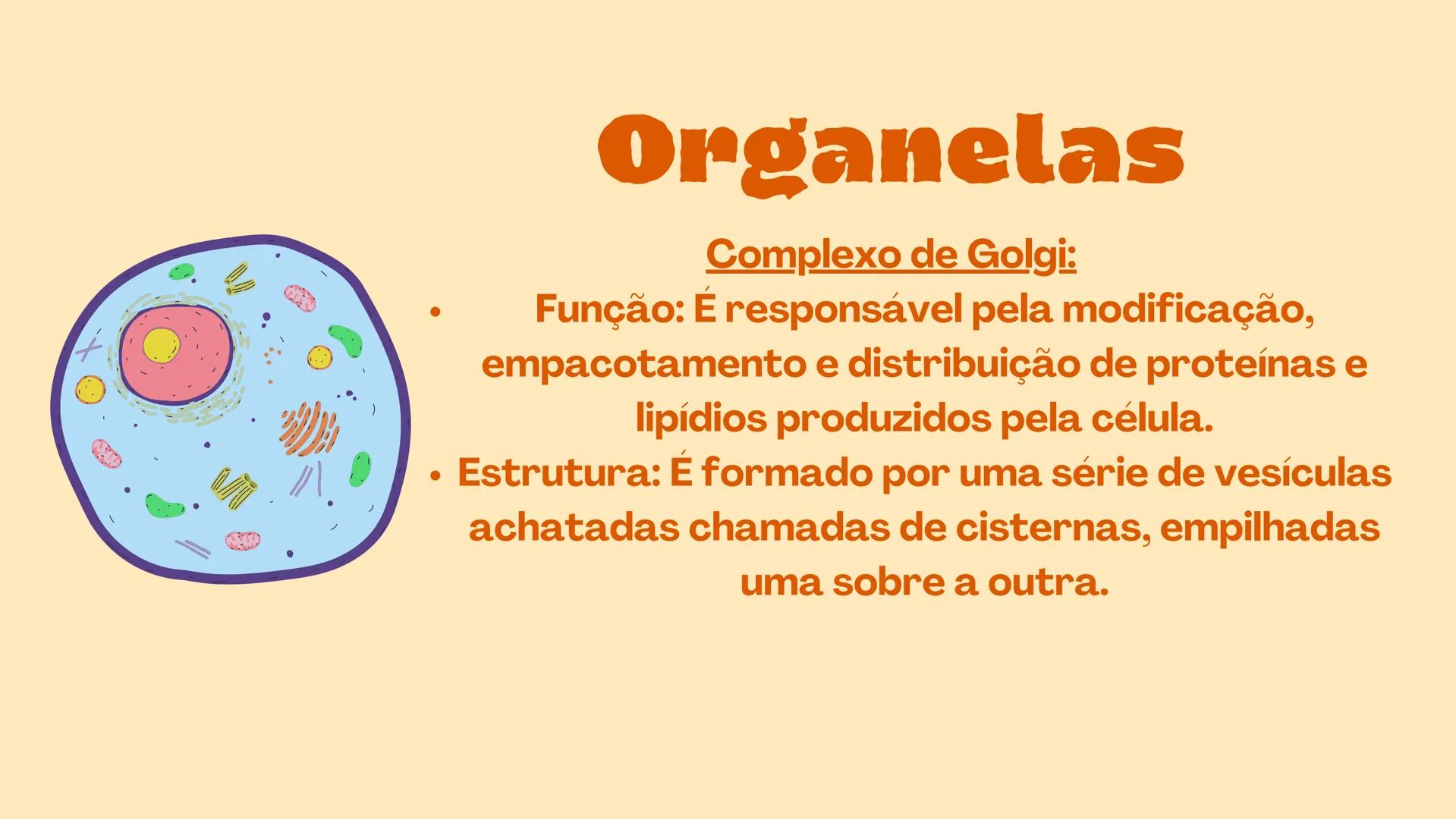 # Biologia
celular # TEORIA CELULAR
A teoria celular foi idealizada por Mathias Scheiden e
Theodor Schwann, e diz que as células são as men