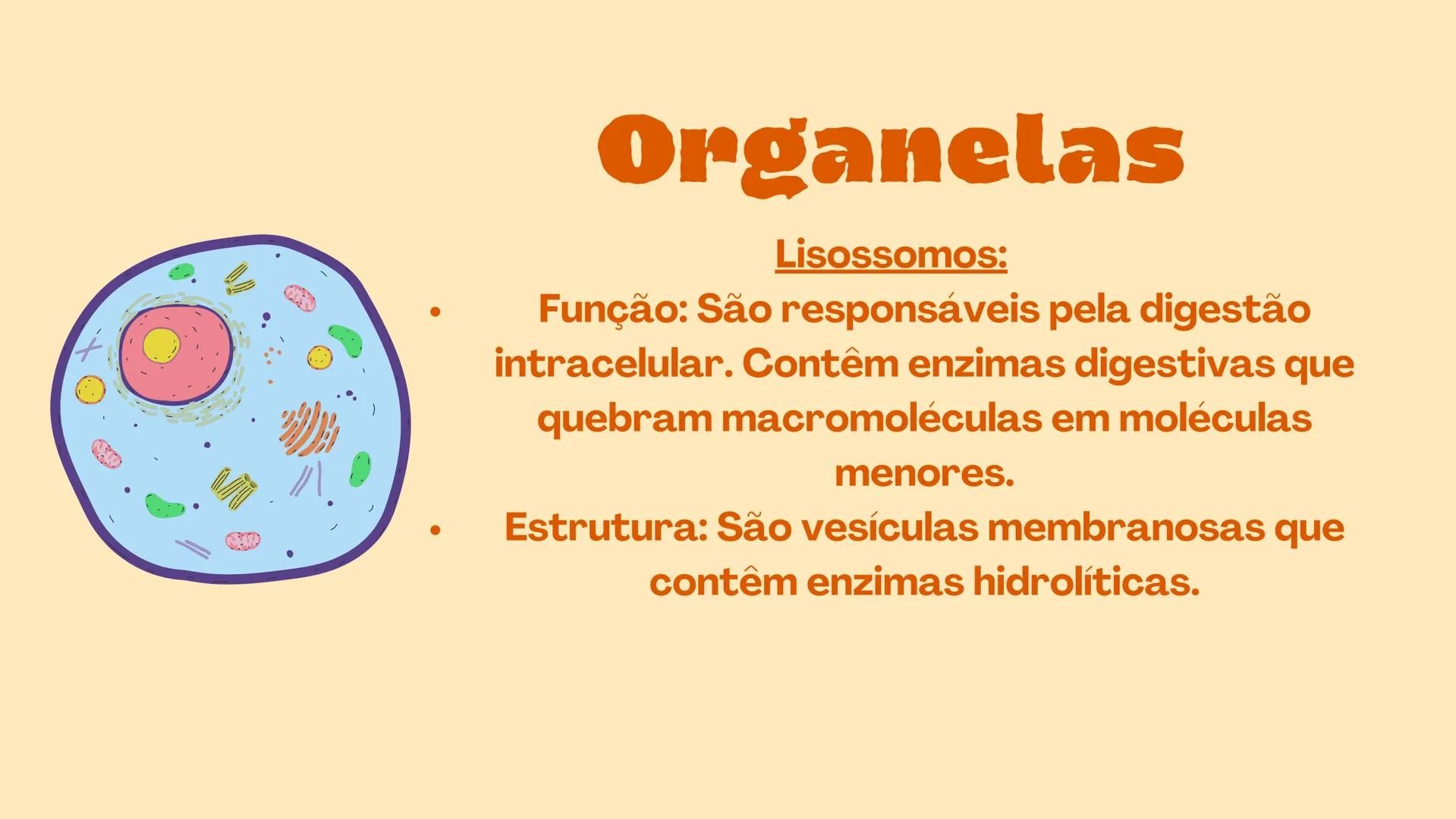 # Biologia
celular # TEORIA CELULAR
A teoria celular foi idealizada por Mathias Scheiden e
Theodor Schwann, e diz que as células são as men