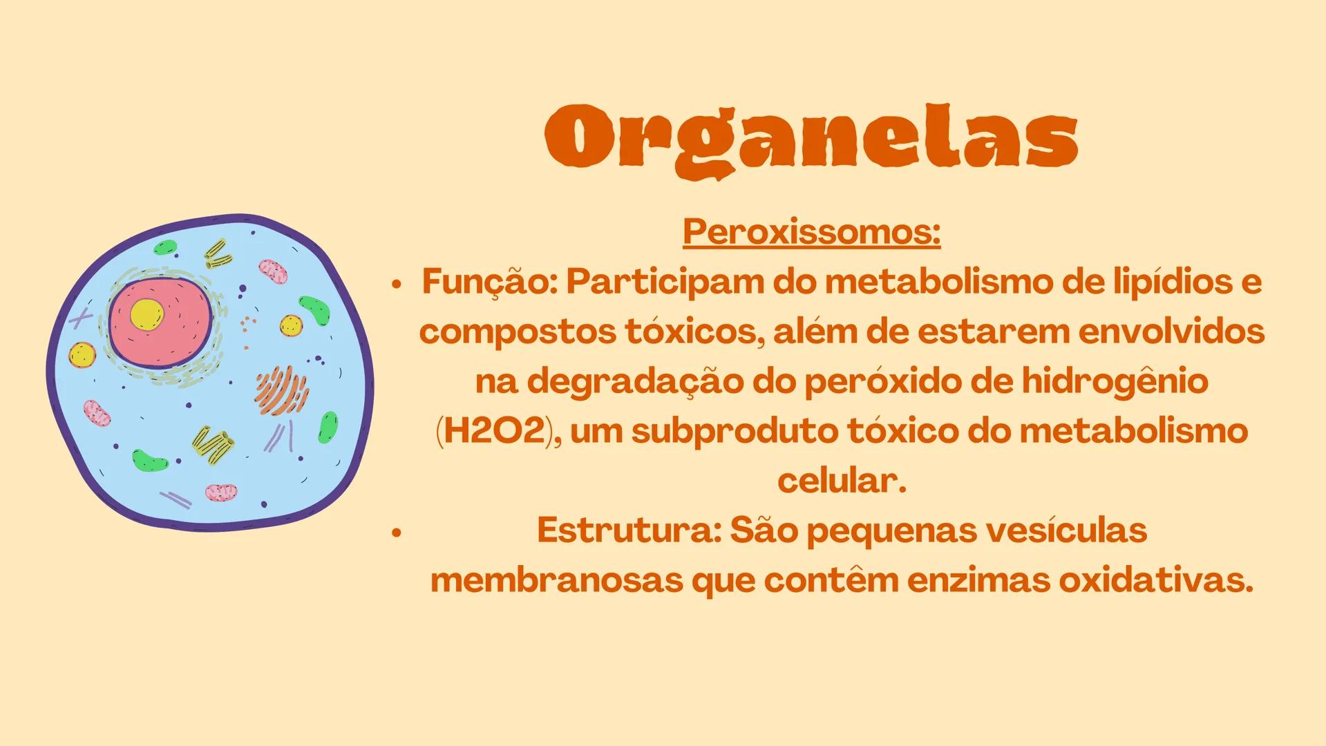 # Biologia
celular # TEORIA CELULAR
A teoria celular foi idealizada por Mathias Scheiden e
Theodor Schwann, e diz que as células são as men