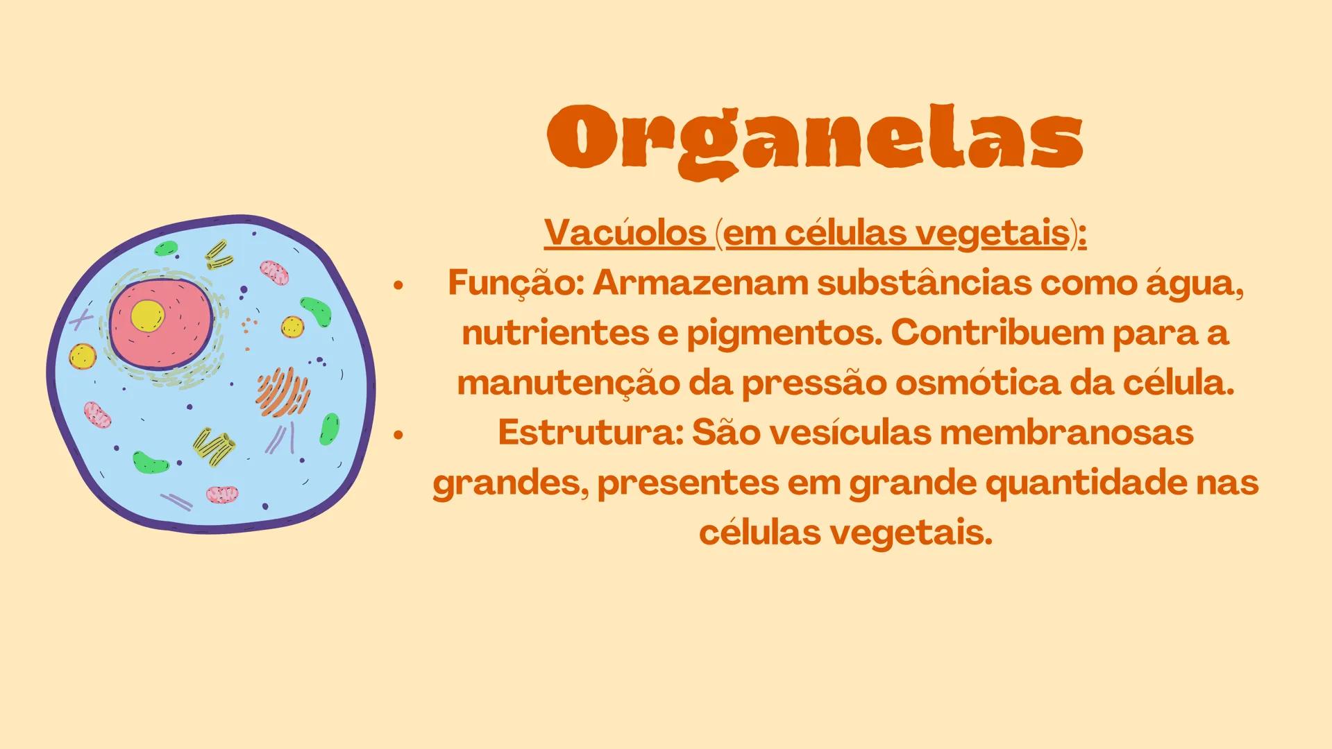 # Biologia
celular # TEORIA CELULAR
A teoria celular foi idealizada por Mathias Scheiden e
Theodor Schwann, e diz que as células são as men