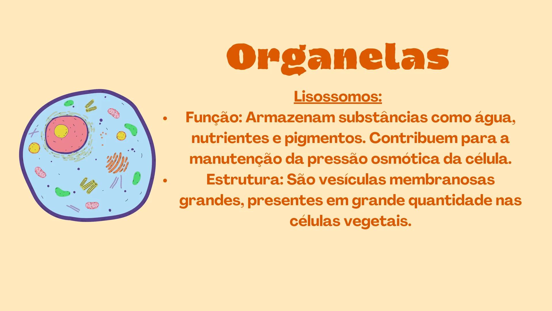 # Biologia
celular # TEORIA CELULAR
A teoria celular foi idealizada por Mathias Scheiden e
Theodor Schwann, e diz que as células são as men