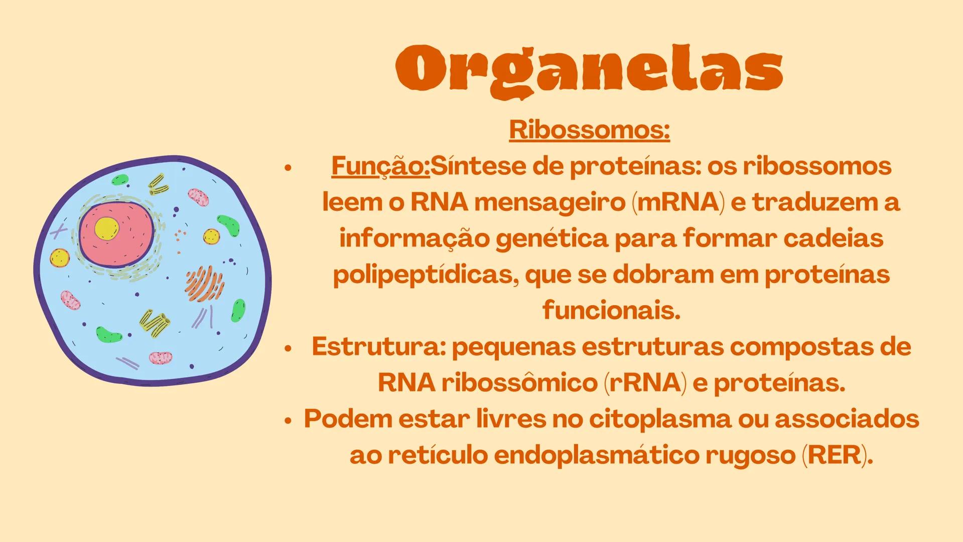 # Biologia
celular # TEORIA CELULAR
A teoria celular foi idealizada por Mathias Scheiden e
Theodor Schwann, e diz que as células são as men