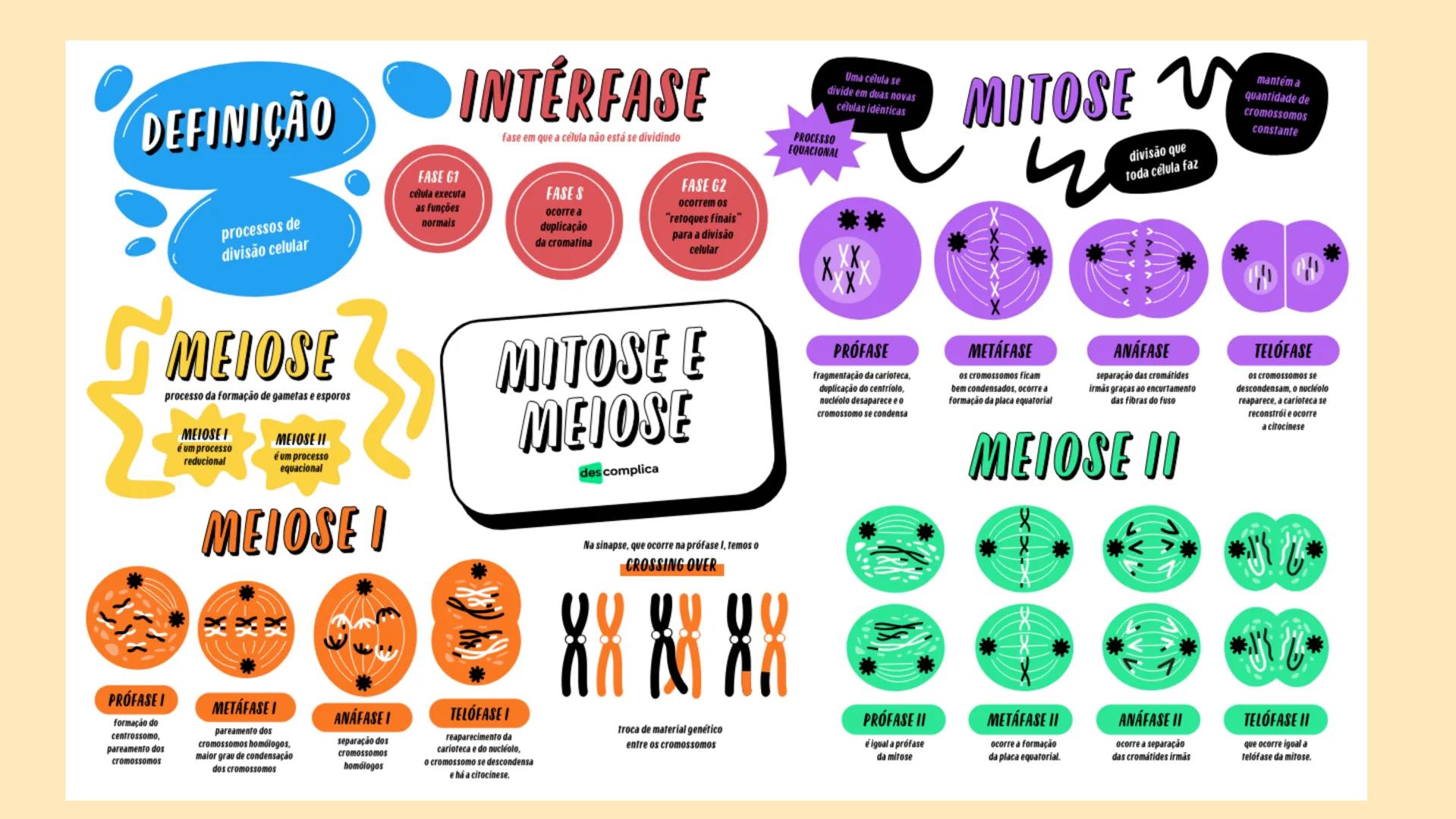 # Biologia
celular # TEORIA CELULAR
A teoria celular foi idealizada por Mathias Scheiden e
Theodor Schwann, e diz que as células são as men