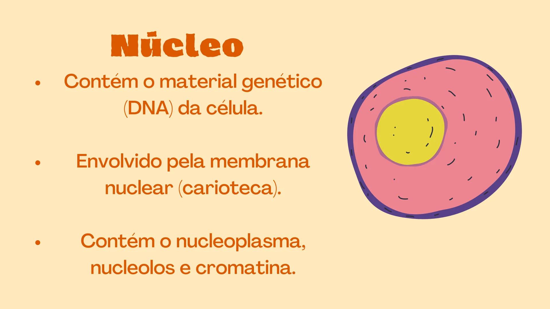 # Biologia
celular # TEORIA CELULAR
A teoria celular foi idealizada por Mathias Scheiden e
Theodor Schwann, e diz que as células são as men