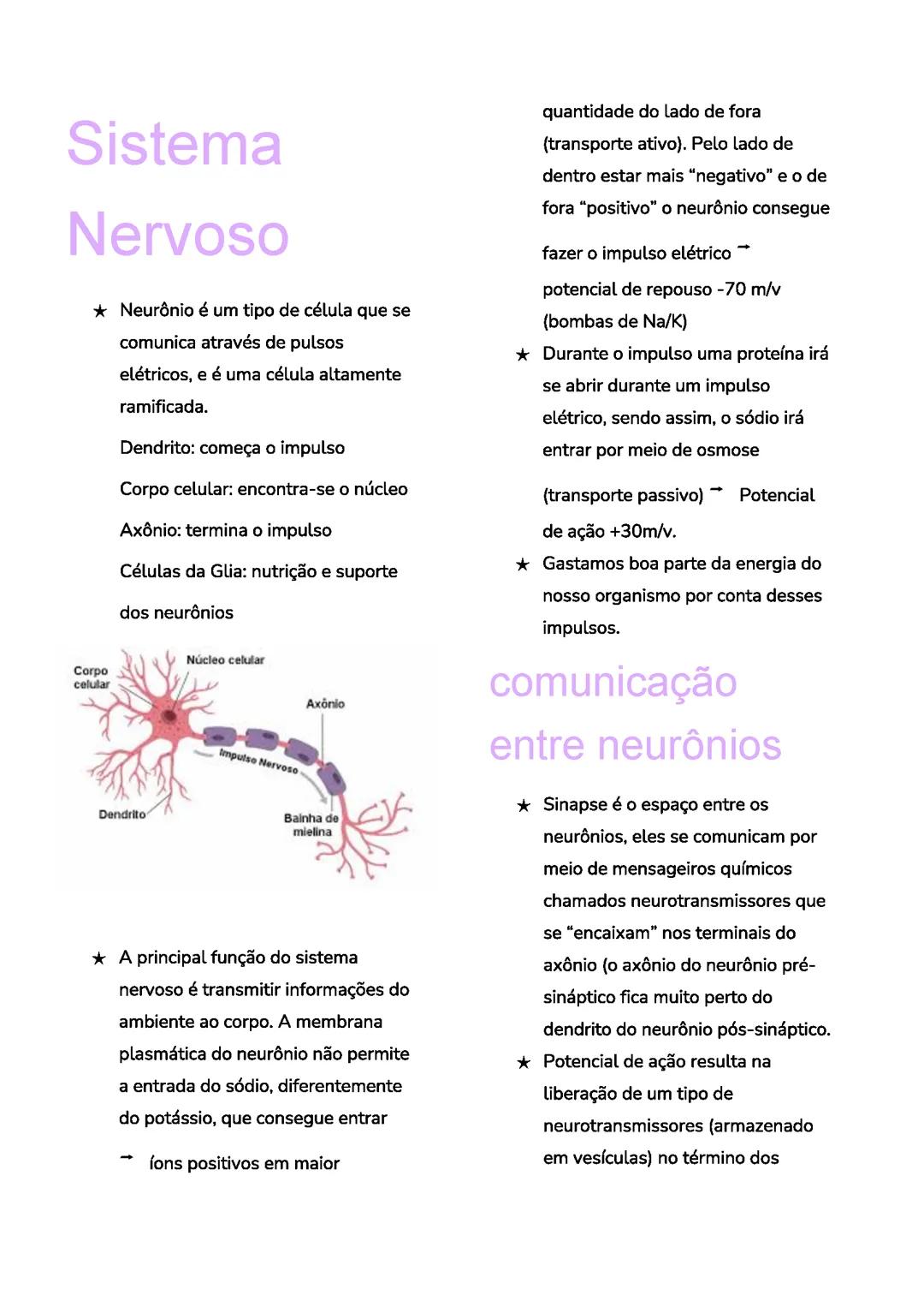 Sistema Nervoso