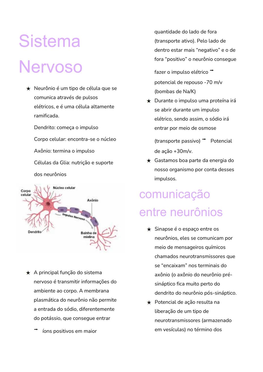 # Sistema
# Nervoso
* Neurônio é um tipo de célula que se
comunica através de pulsos
elétricos, e é uma célula altamente
ramificada.
Dendr