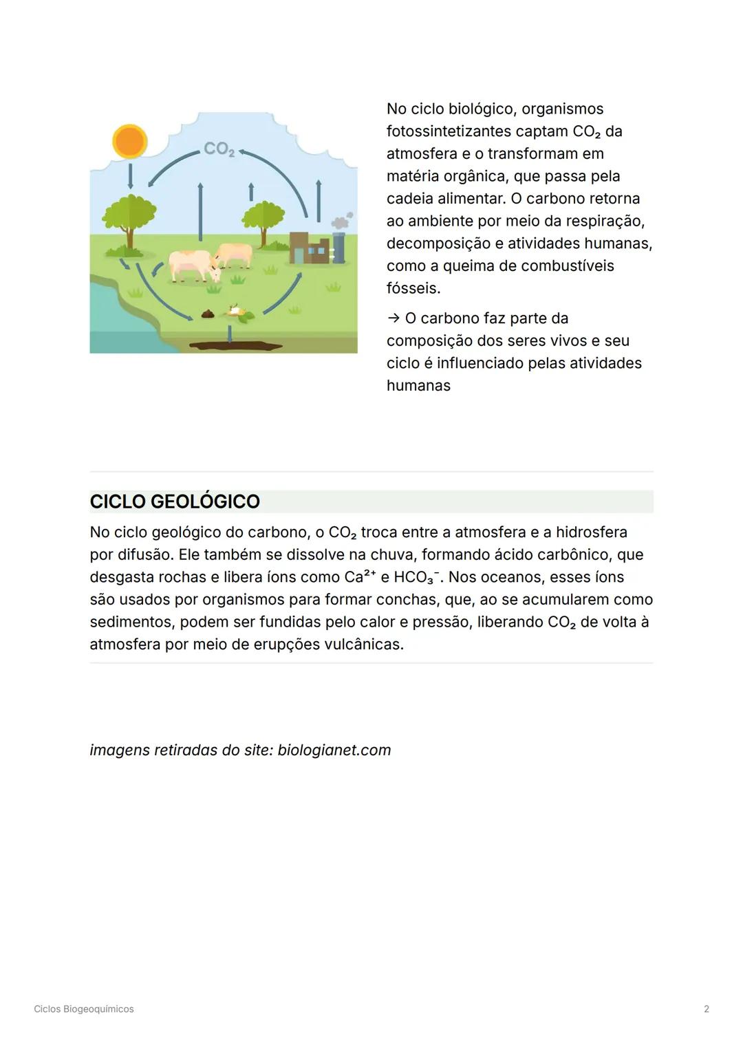 # Ciclos Biogeoquímicos
São processos naturais que garantem a reciclagem de elementos
químicos entre os seres vivos e o meio ambiente.
# C