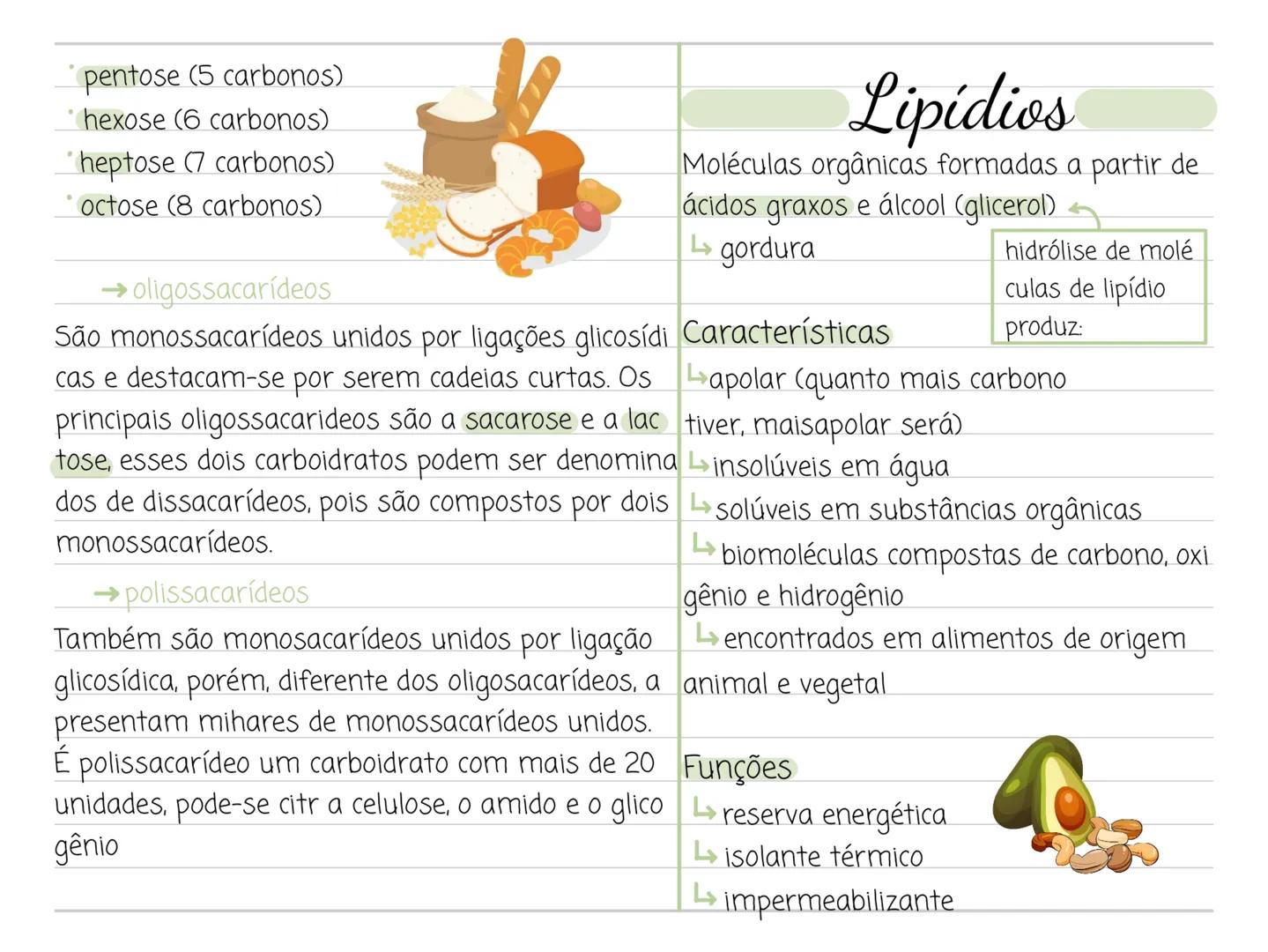 --- OCR Start ---
Carboidratos
características gerais
queleto dos artrópodes
biomoléculas formadas, fundamentalmente,
→ função de reserva en