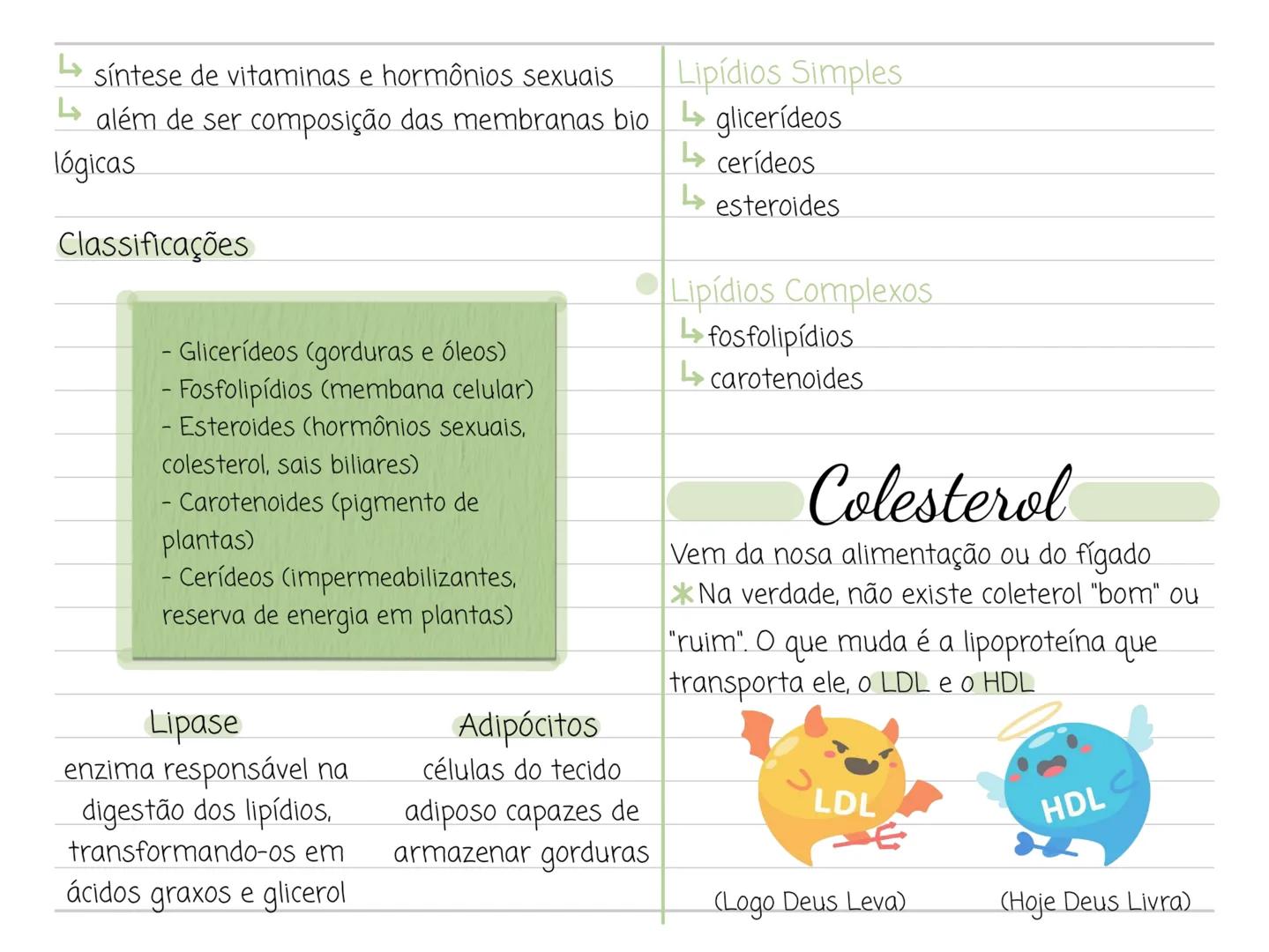 --- OCR Start ---
Carboidratos
características gerais
queleto dos artrópodes
biomoléculas formadas, fundamentalmente,
→ função de reserva en
