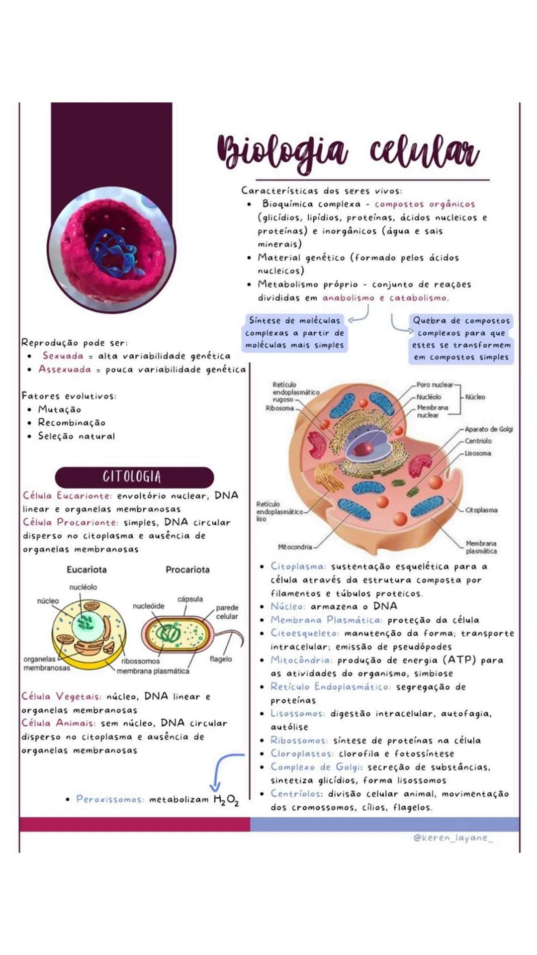 --- OCR Start ---
Reprodução pode ser:
Biologia celular
Características dos seres vivos:
Bioquímica complexa compostos orgânicos
(glicídios,