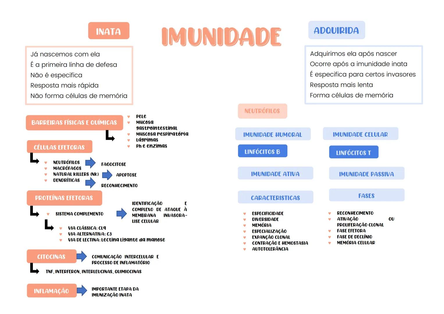 # Imunidade
BARREIRAS EPITELIAIS E QUÍMICAS
Corresponde à defesa do corpo
contra os microrganismos invasores.
É subdividida em imunidade i