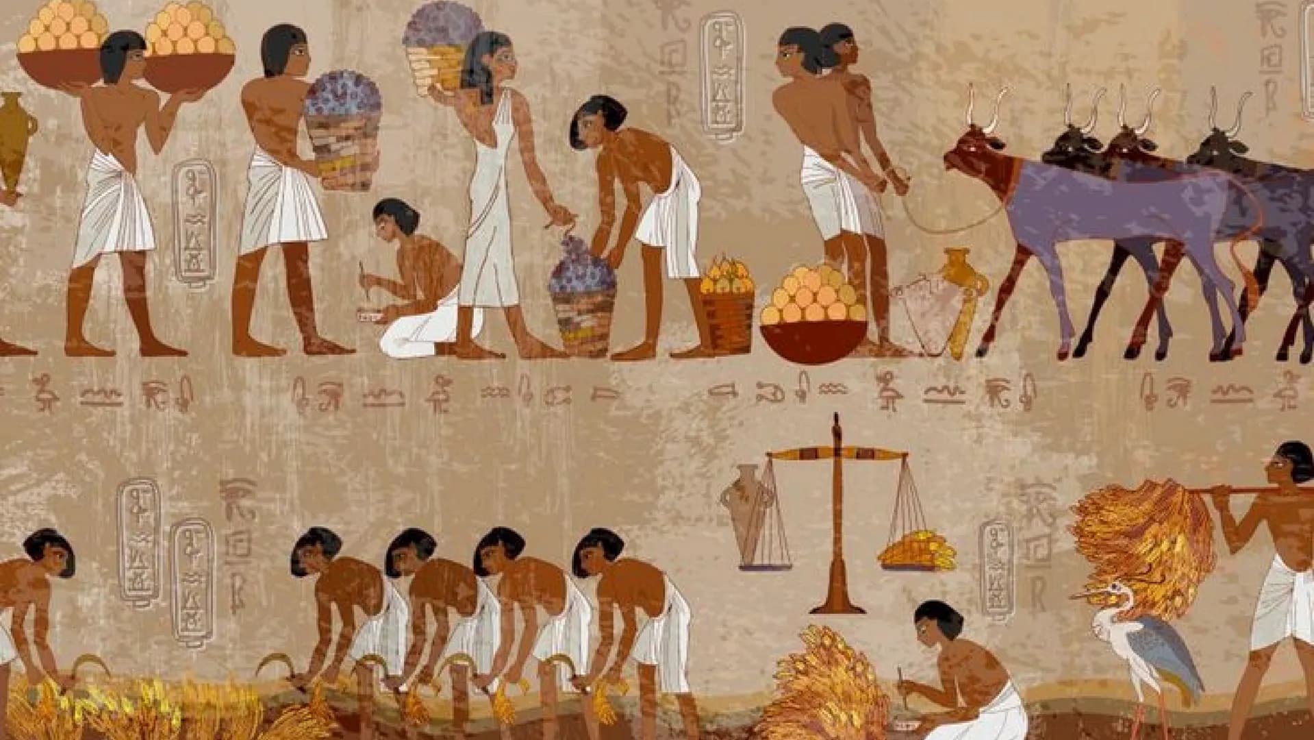 # Civilização do
# Egito antigo # LOCALIZAÇÃO GEOGRAFICA
Norte da África, ao longo do rio Nilo.
Capital: Mênfis (Antigo Império), Tebas (