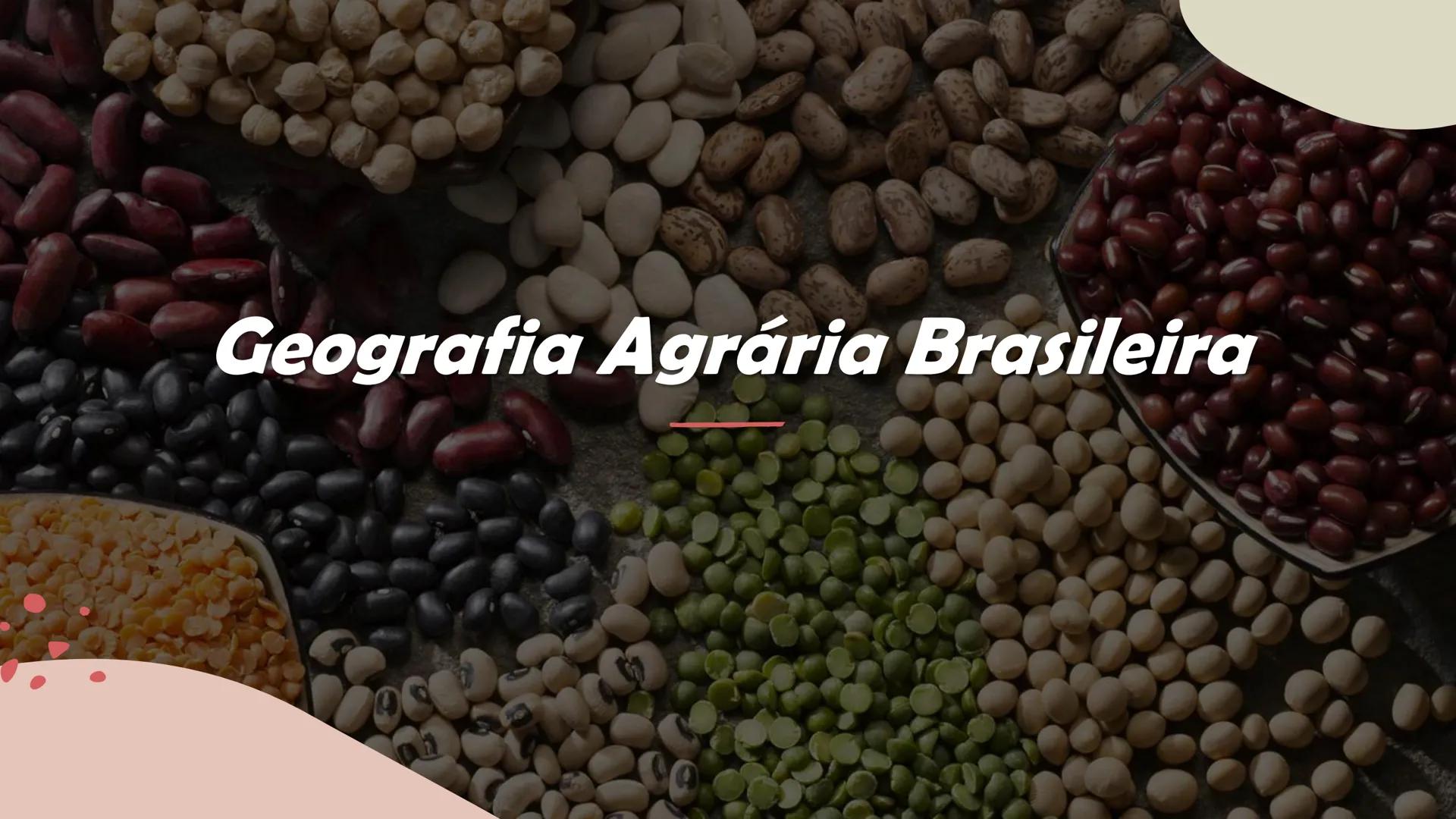 # Geografia Agrária Brasileira # Os setores da economia
Primário
Secundário
Terciário
Terciarização dos
espaços urbanos.
Hipertrofia do