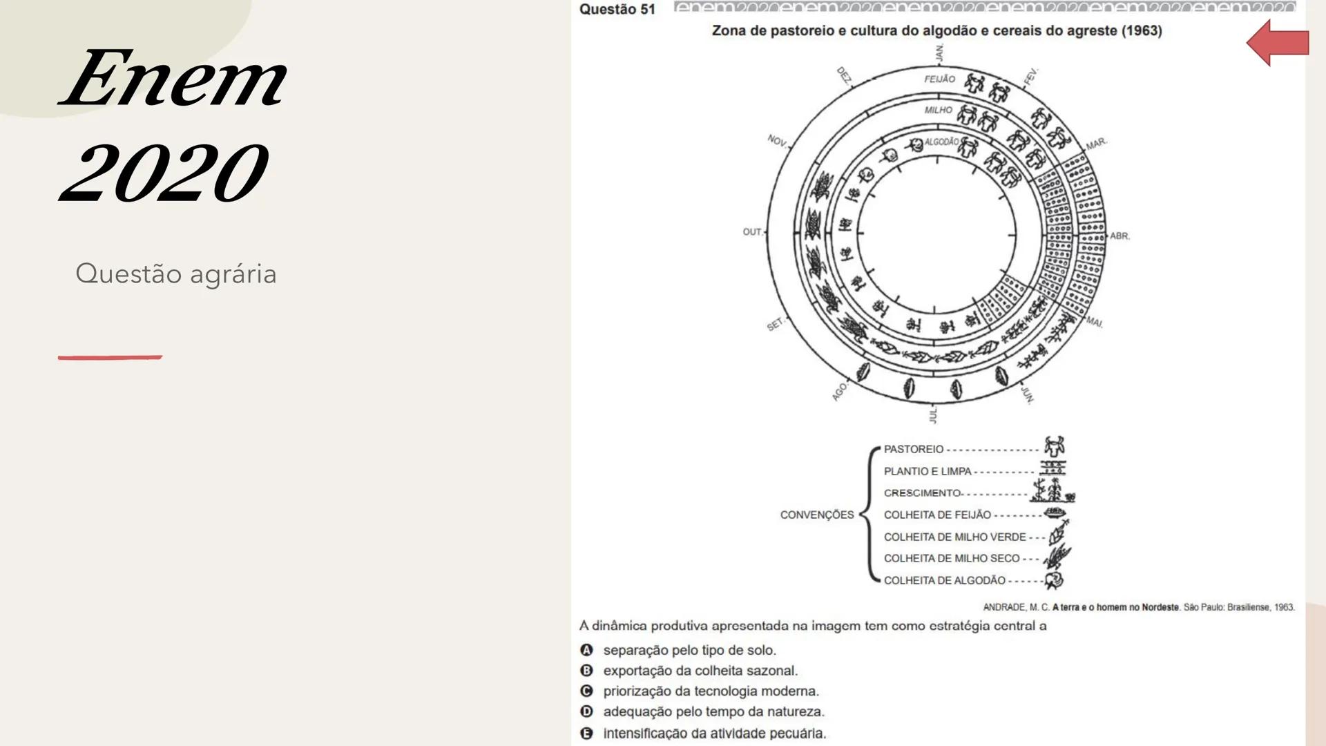 # Geografia Agrária Brasileira # Os setores da economia
Primário
Secundário
Terciário
Terciarização dos
espaços urbanos.
Hipertrofia do