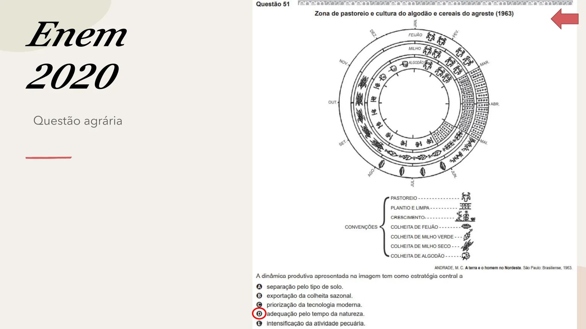 # Geografia Agrária Brasileira # Os setores da economia
Primário
Secundário
Terciário
Terciarização dos
espaços urbanos.
Hipertrofia do