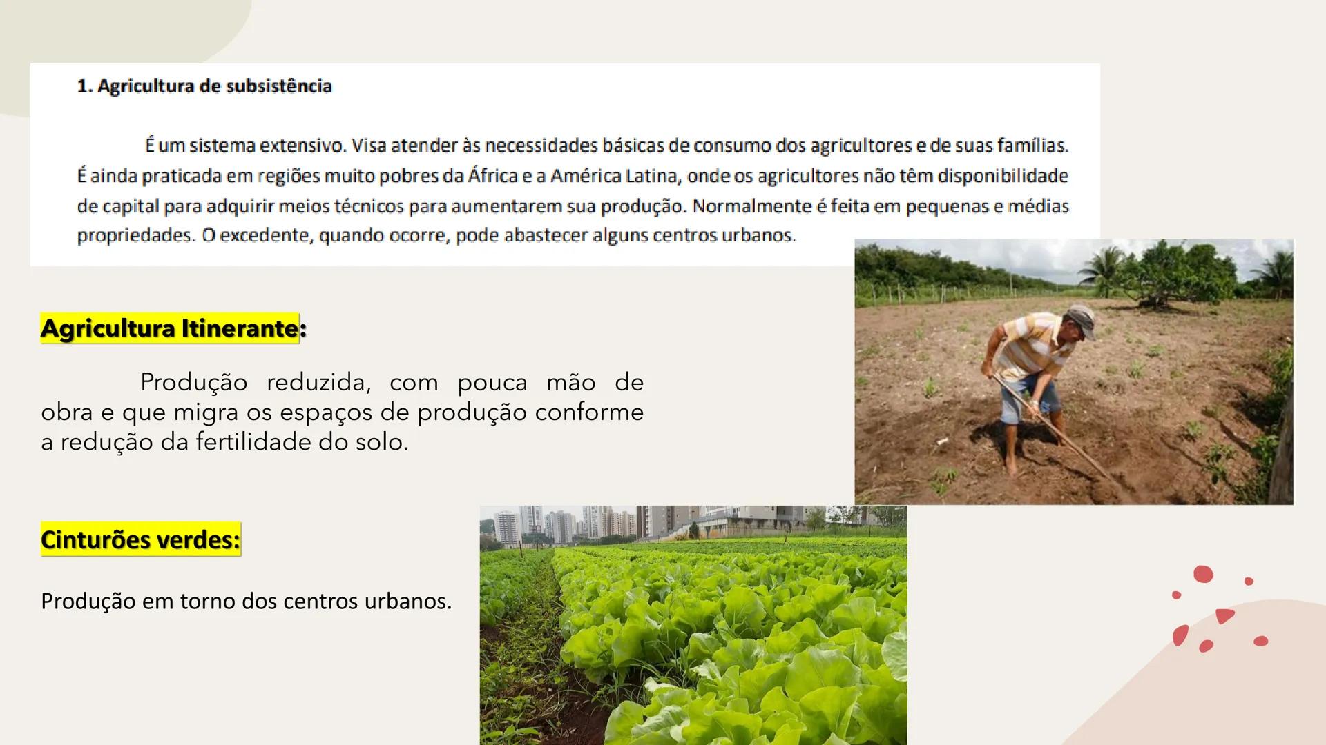 # Geografia Agrária Brasileira # Os setores da economia
Primário
Secundário
Terciário
Terciarização dos
espaços urbanos.
Hipertrofia do