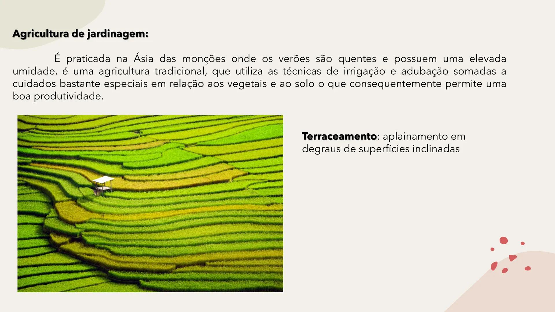 # Geografia Agrária Brasileira # Os setores da economia
Primário
Secundário
Terciário
Terciarização dos
espaços urbanos.
Hipertrofia do
