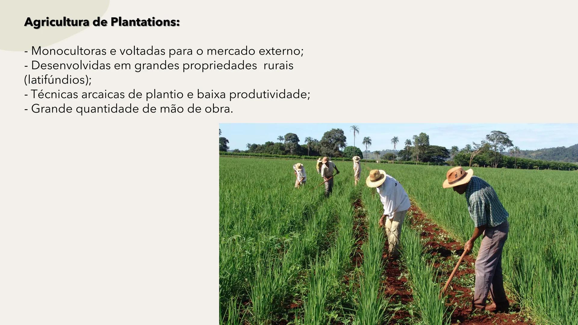 # Geografia Agrária Brasileira # Os setores da economia
Primário
Secundário
Terciário
Terciarização dos
espaços urbanos.
Hipertrofia do