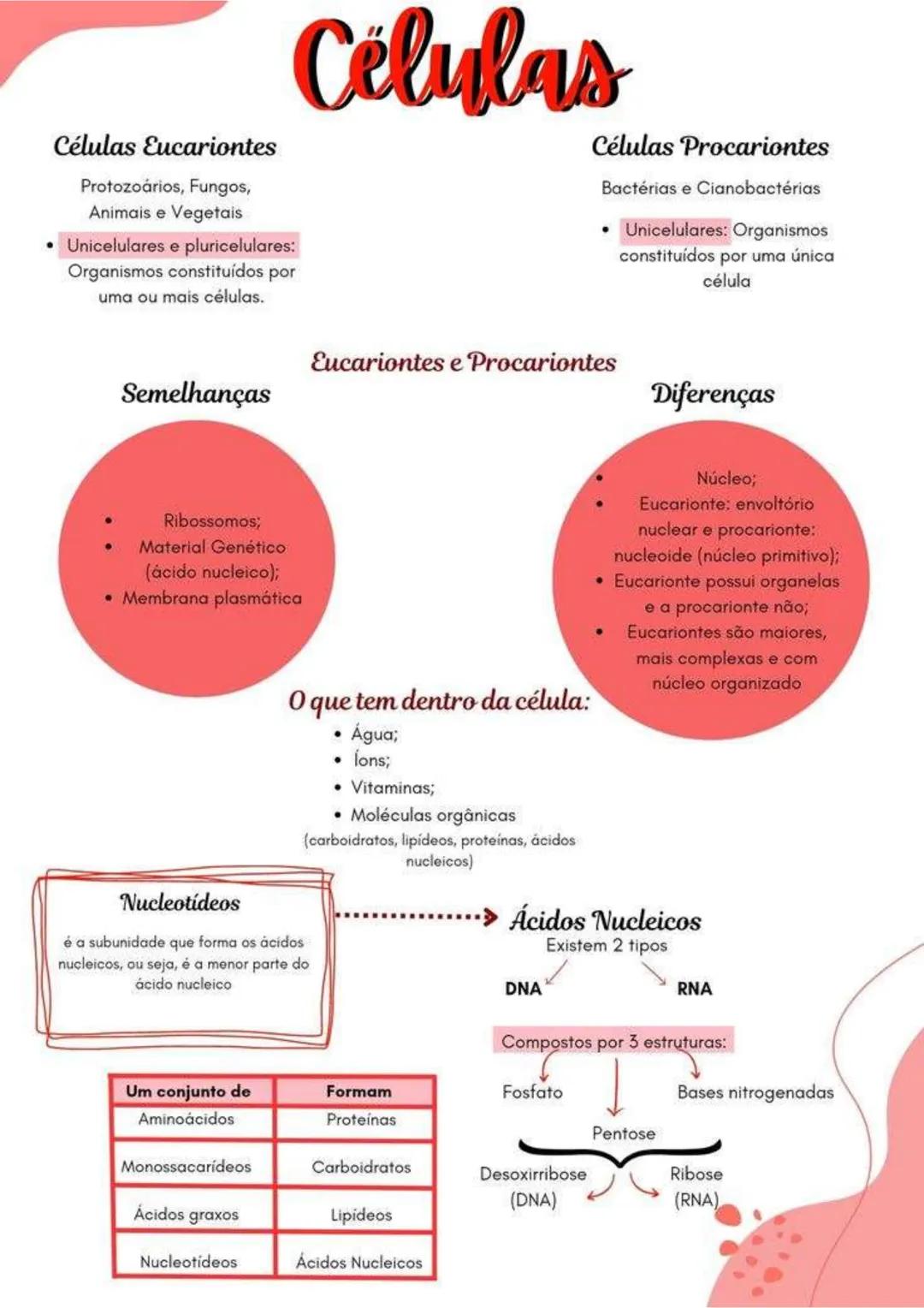 # Células
# Células Eucariontes
Protozoários, Fungos,
Animais e Vegetais
- **Unicelulares e pluricelulares:**
Organismos constituídos por
u