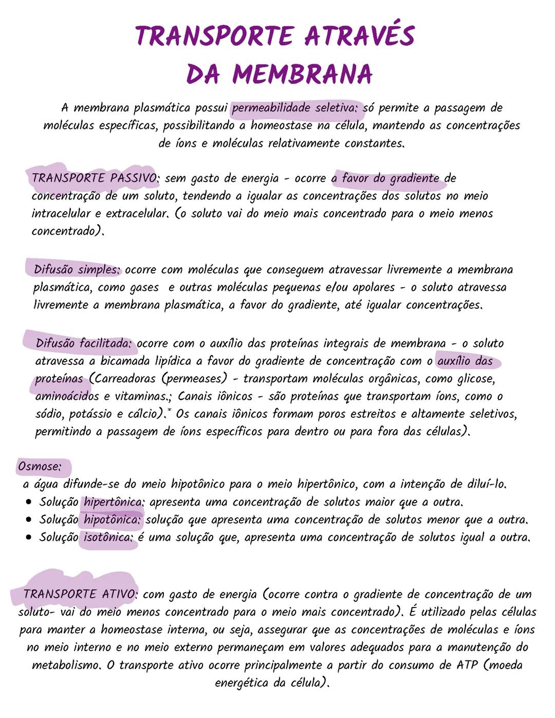transporte através da membrana