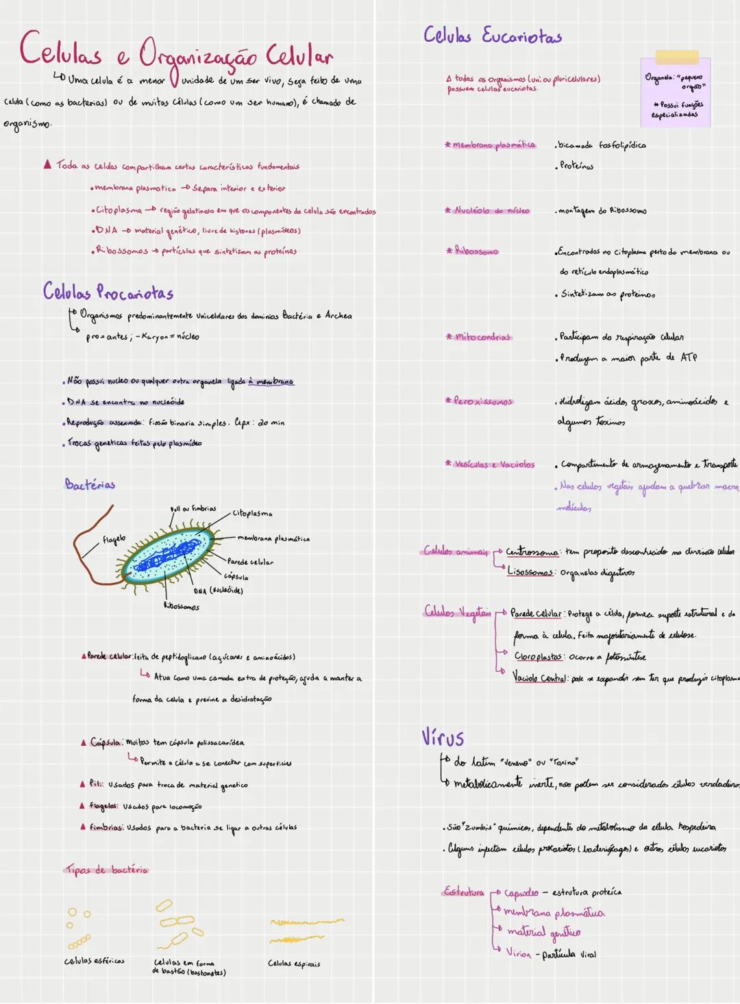 # Celulas e Organização Celular
LD Uma celula é a menor unidade de um ser vivo, Sega feito de uma
Celda (como as bacterias) ou de muitas cé