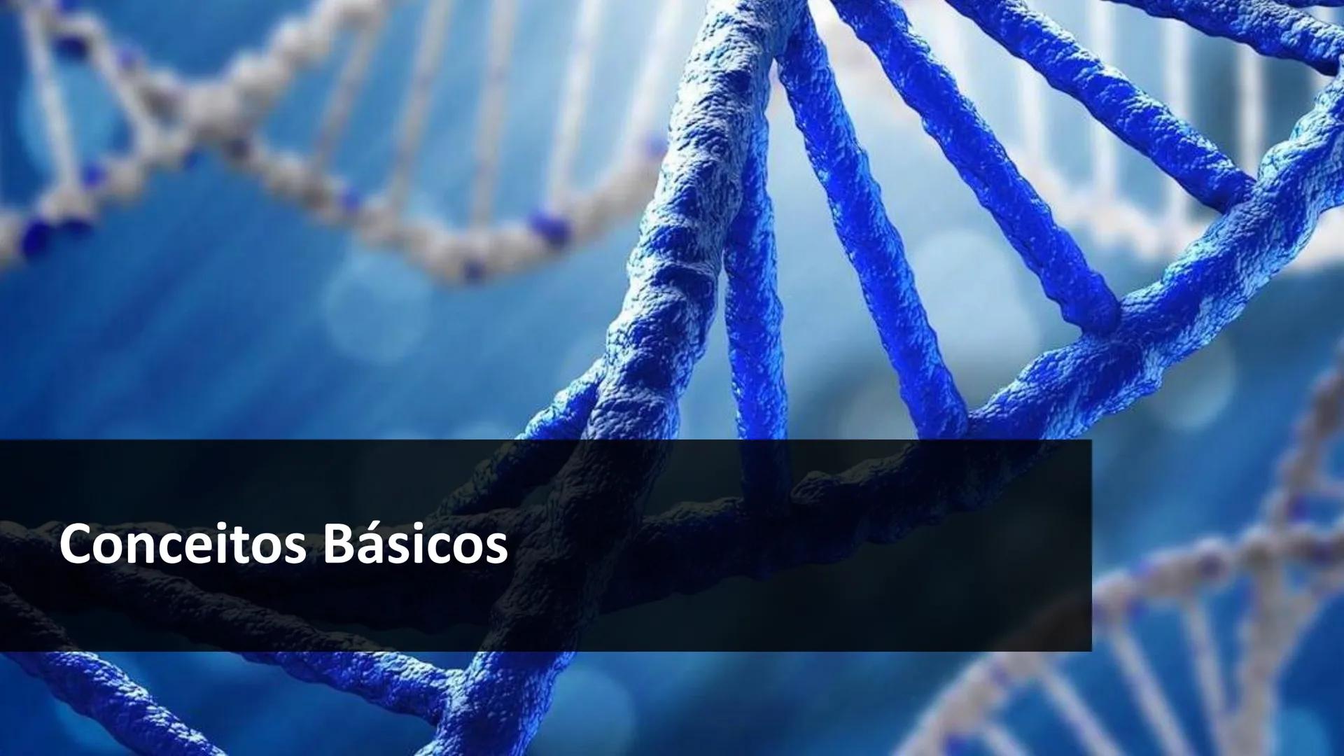 R R Rr
Gene
Introdução à Genética # Conceitos Básicos # Genética
É a parte da biologia que trata do estudo dos genes e de suas
manifestaç
