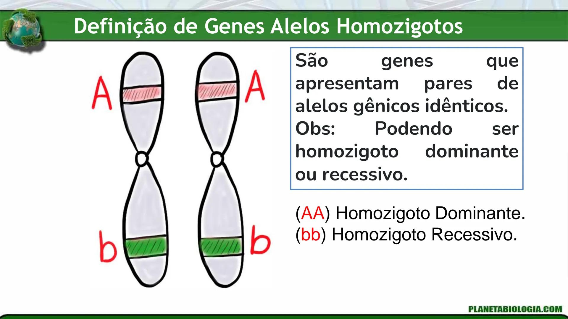 R R Rr
Gene
Introdução à Genética # Conceitos Básicos # Genética
É a parte da biologia que trata do estudo dos genes e de suas
manifestaç