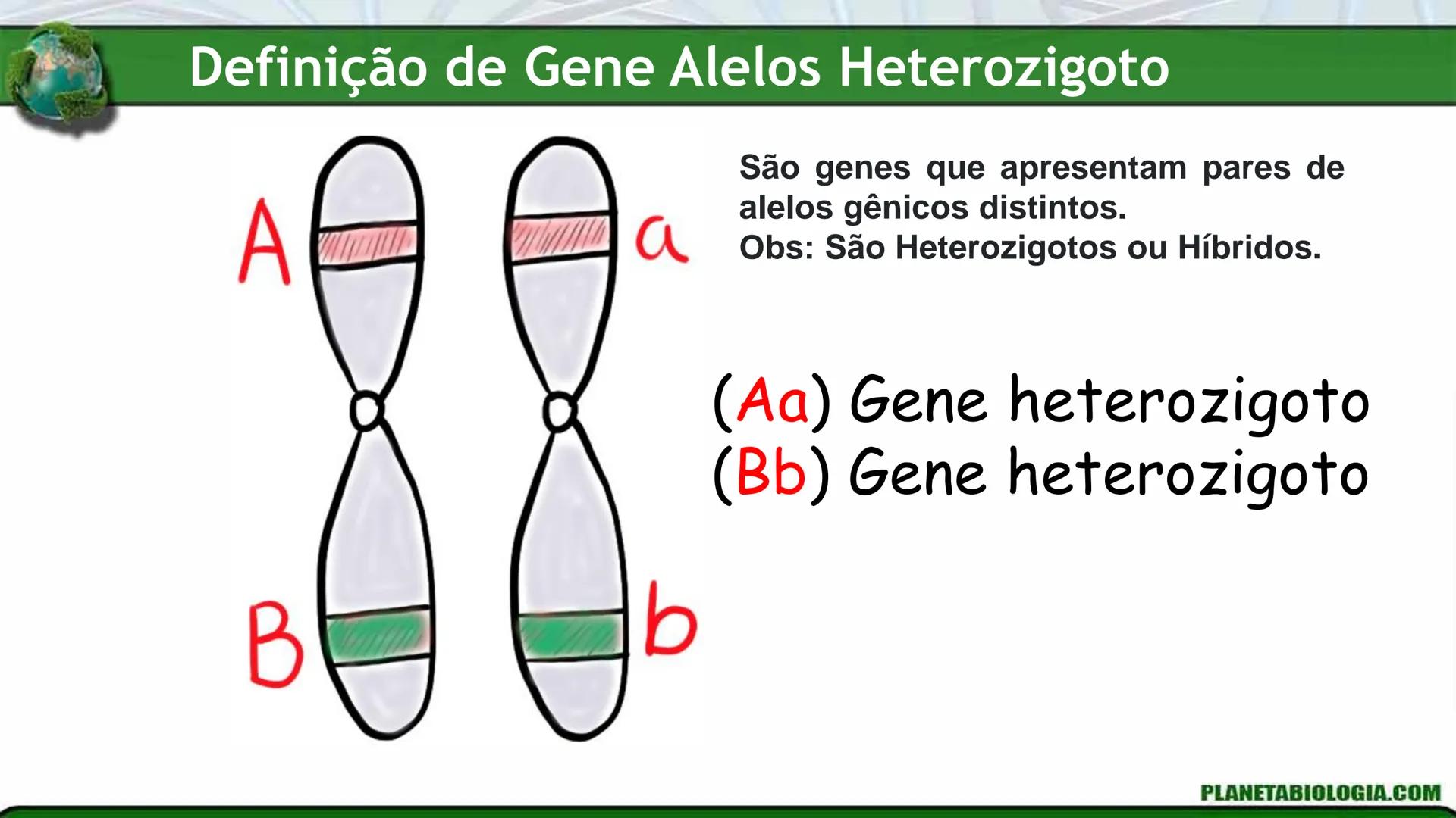 R R Rr
Gene
Introdução à Genética # Conceitos Básicos # Genética
É a parte da biologia que trata do estudo dos genes e de suas
manifestaç
