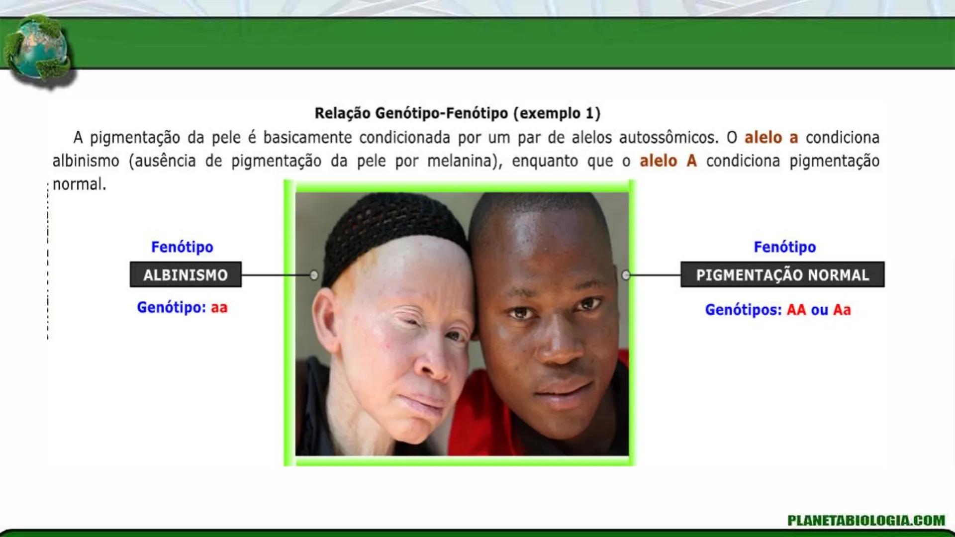R R Rr
Gene
Introdução à Genética # Conceitos Básicos # Genética
É a parte da biologia que trata do estudo dos genes e de suas
manifestaç