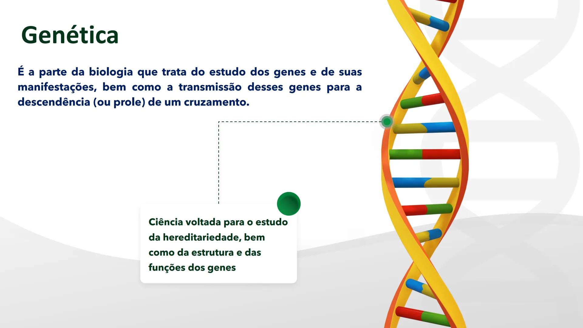 R R Rr
Gene
Introdução à Genética # Conceitos Básicos # Genética
É a parte da biologia que trata do estudo dos genes e de suas
manifestaç