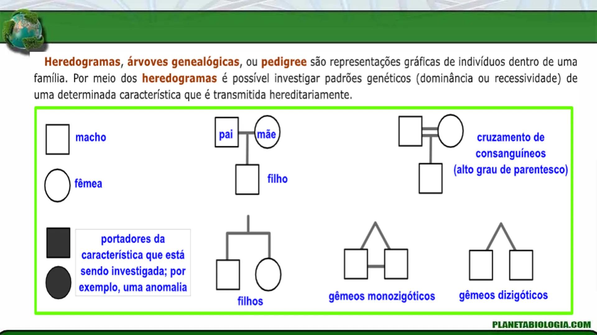 R R Rr
Gene
Introdução à Genética # Conceitos Básicos # Genética
É a parte da biologia que trata do estudo dos genes e de suas
manifestaç