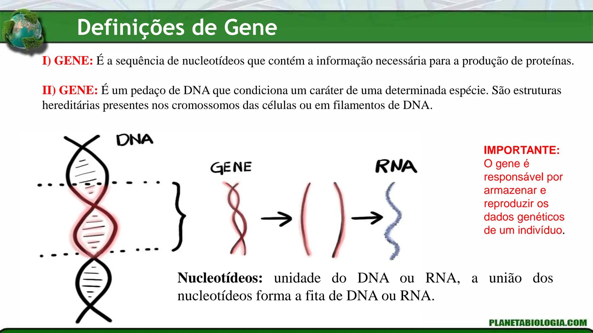 R R Rr
Gene
Introdução à Genética # Conceitos Básicos # Genética
É a parte da biologia que trata do estudo dos genes e de suas
manifestaç