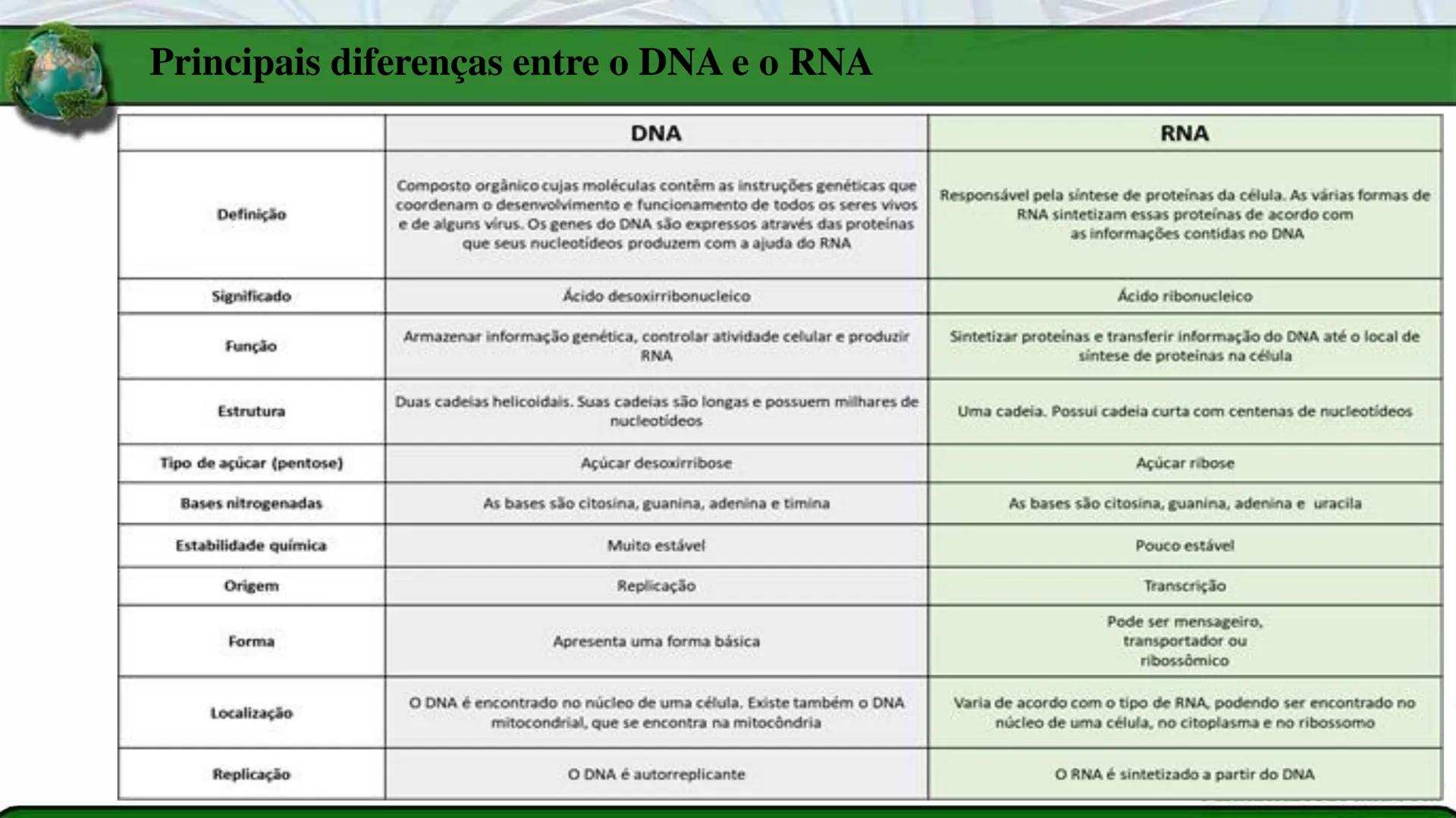 R R Rr
Gene
Introdução à Genética # Conceitos Básicos # Genética
É a parte da biologia que trata do estudo dos genes e de suas
manifestaç